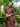 Nova Kurung in Black