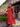 Claudia Dress - Marta